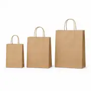 Baskısız Burgu Saplı Poşet / Çanta 1