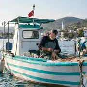 Turkuaz Renkli Düz Kendinden Yapışkanlı Folyo 4