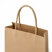 Baskısız Burgu Saplı Poşet / Çanta 2